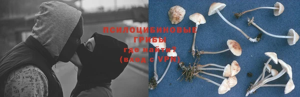 не бодяженный Алексин