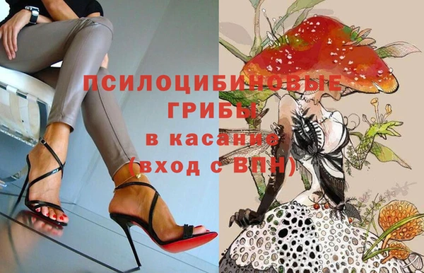 не бодяженный Алексин