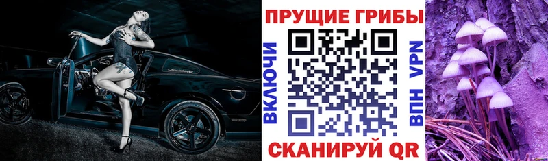 Псилоцибиновые грибы MAGIC MUSHROOMS  где купить наркотик  сайты даркнета формула  Москва 